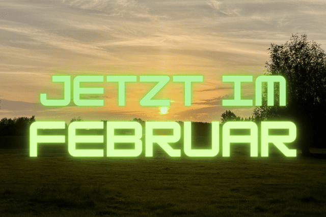 Diese Arbeiten fallen im Februar an